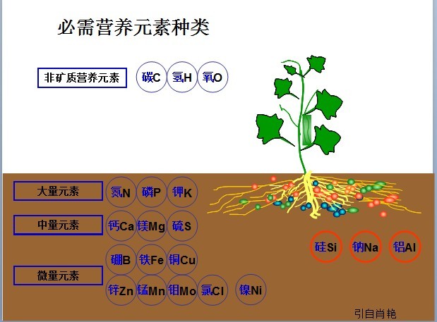 小品演员换新式发型当“嘀嘀司机”