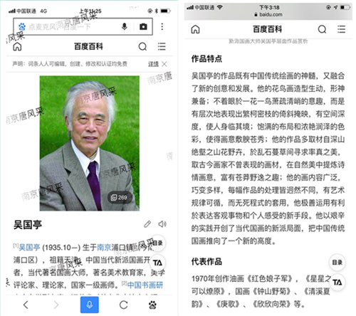 领略大师风采 吴国亭介绍